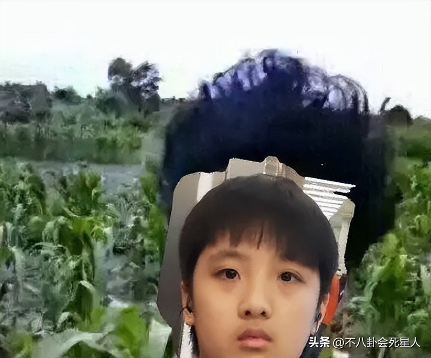 《爸哪》过去9年，萌娃发展各有不同，有运动员，也有钢琴王子