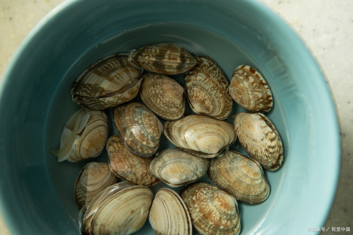 蛤蜊好吃又简单家常做法,蛤蜊最简单的几种做法又香又馋人