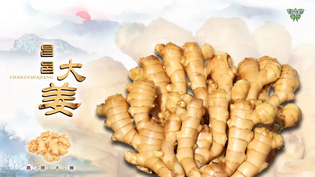 逛吃逛吃歌曲,逛吃逛吃