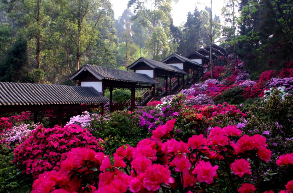 四川好玩景点推荐,四川小众旅游景点哪里好玩