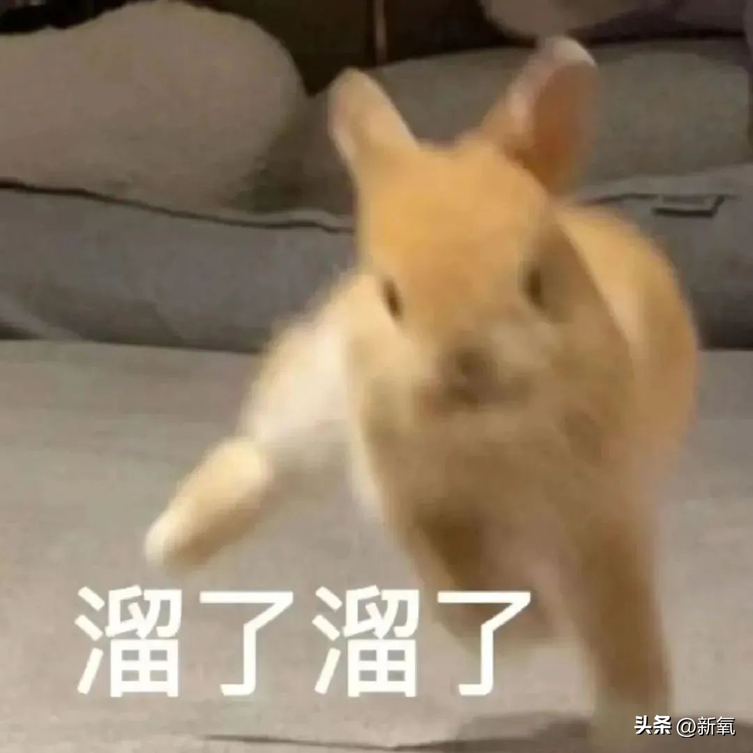 刘雯高级感,刘雯的脸型适合的风格