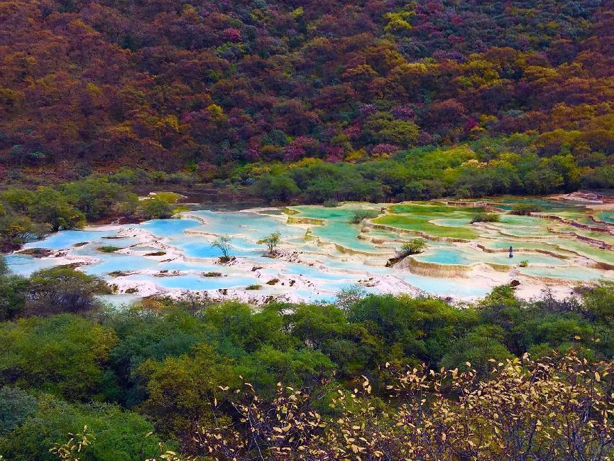 四川国旅第一分社怎么样,四川国旅高新第二分社