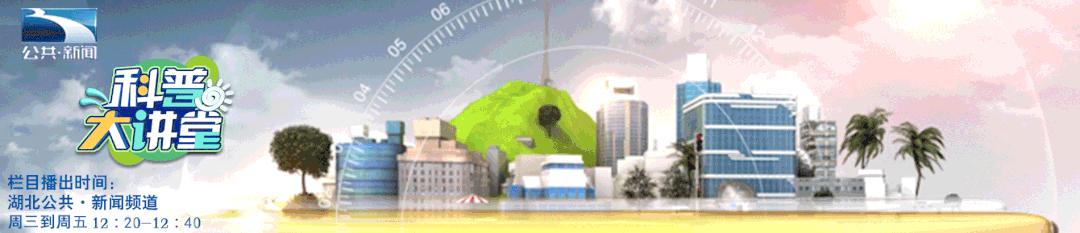 我亲身经历的胃肠镜检查及治疗,做了无痛胃肠镜应注意什么