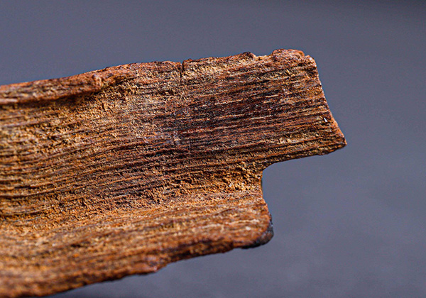 红土沉香里面有哪些成分,富森红土沉香有收藏价值吗