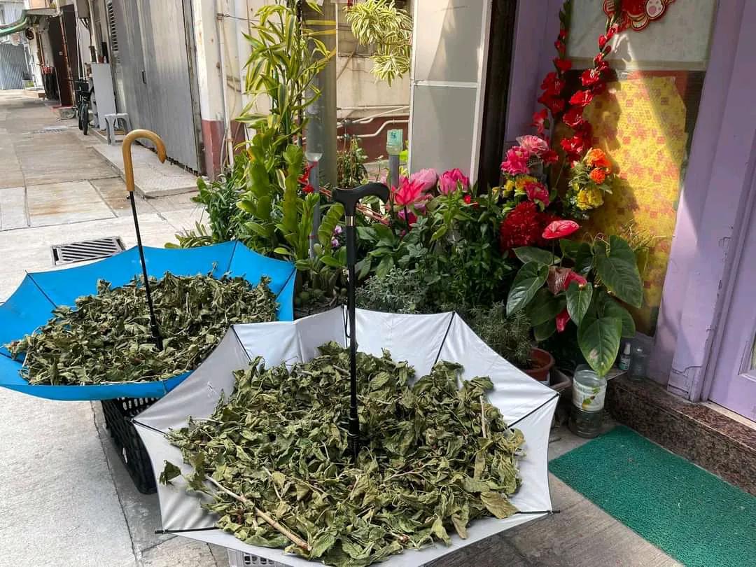 香港游记之…本地人不会告诉你的旅游景点