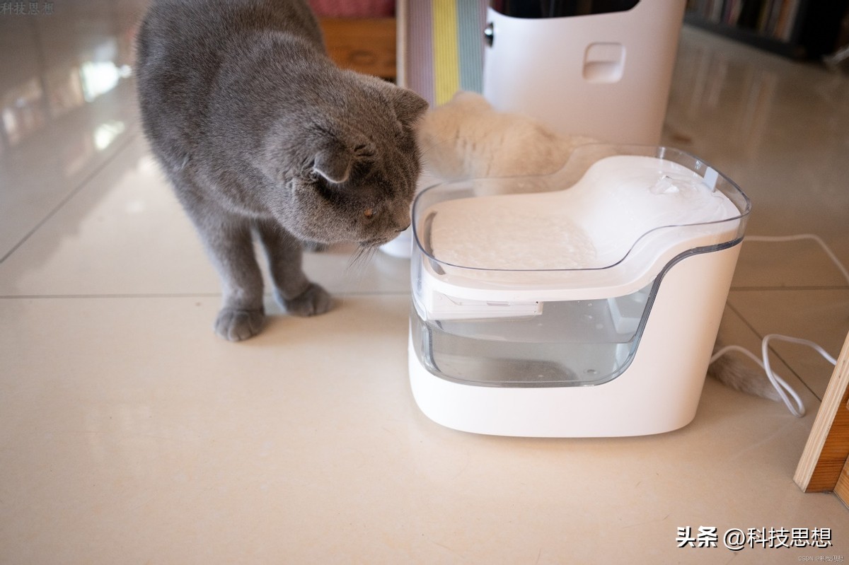 猫咪喝水神器智能不插电恒温,猫咪智能喂水器