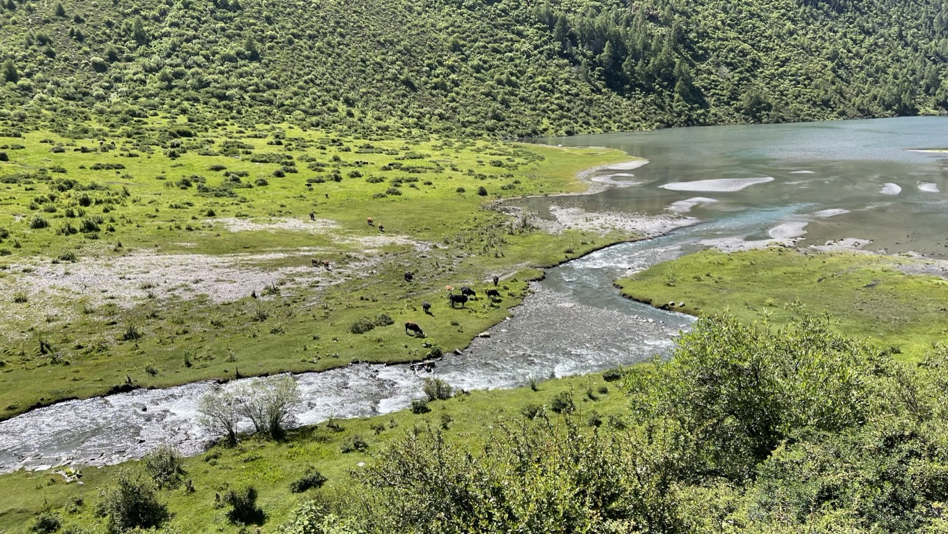 四姑娘山景区旅游攻略长坪沟,四姑娘山海子沟和长坪沟哪个好玩