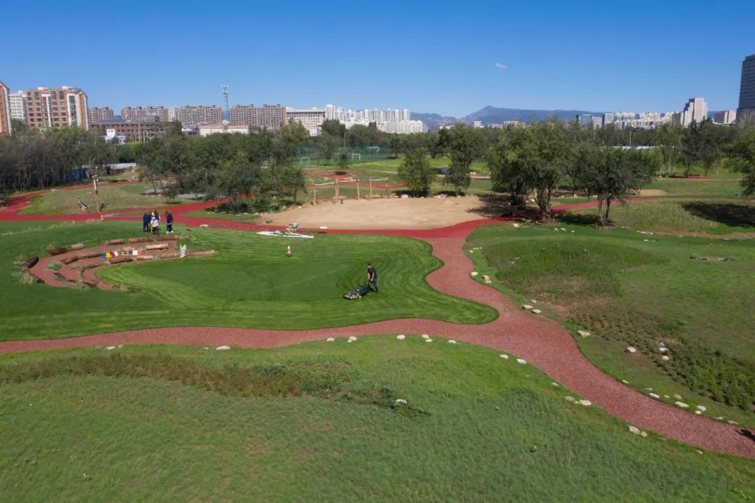 呼和浩特市小草公园什么时候开放,小草公园是免费开放吗