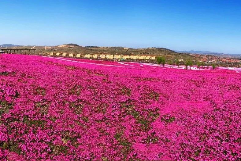 整村运营,整村运营顶层策划