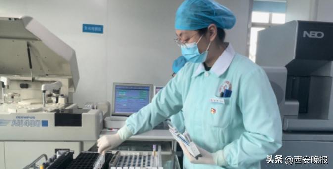 全球最稀有黄金血液,全球罕见黄金血液