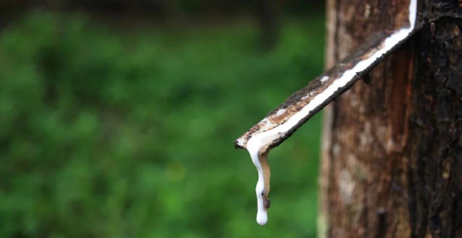 慕思床垫深层睡眠,慕思床垫睡眠精灵美脊版