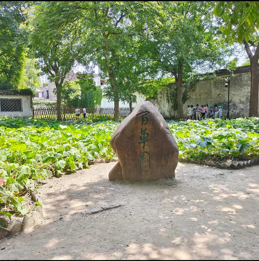 鲁迅故里旁的塔山花鸟市场,鲁迅故里附近酒店