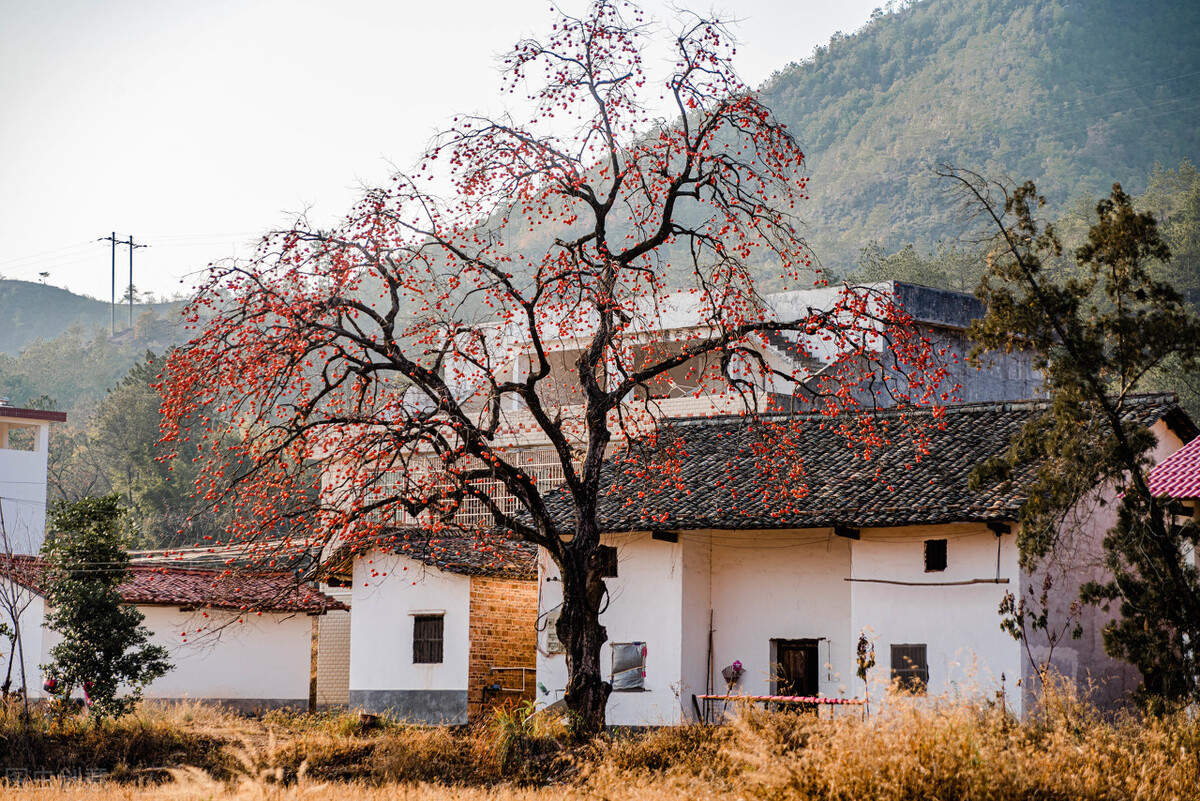 妄想山海房子选址,住宅如何选址