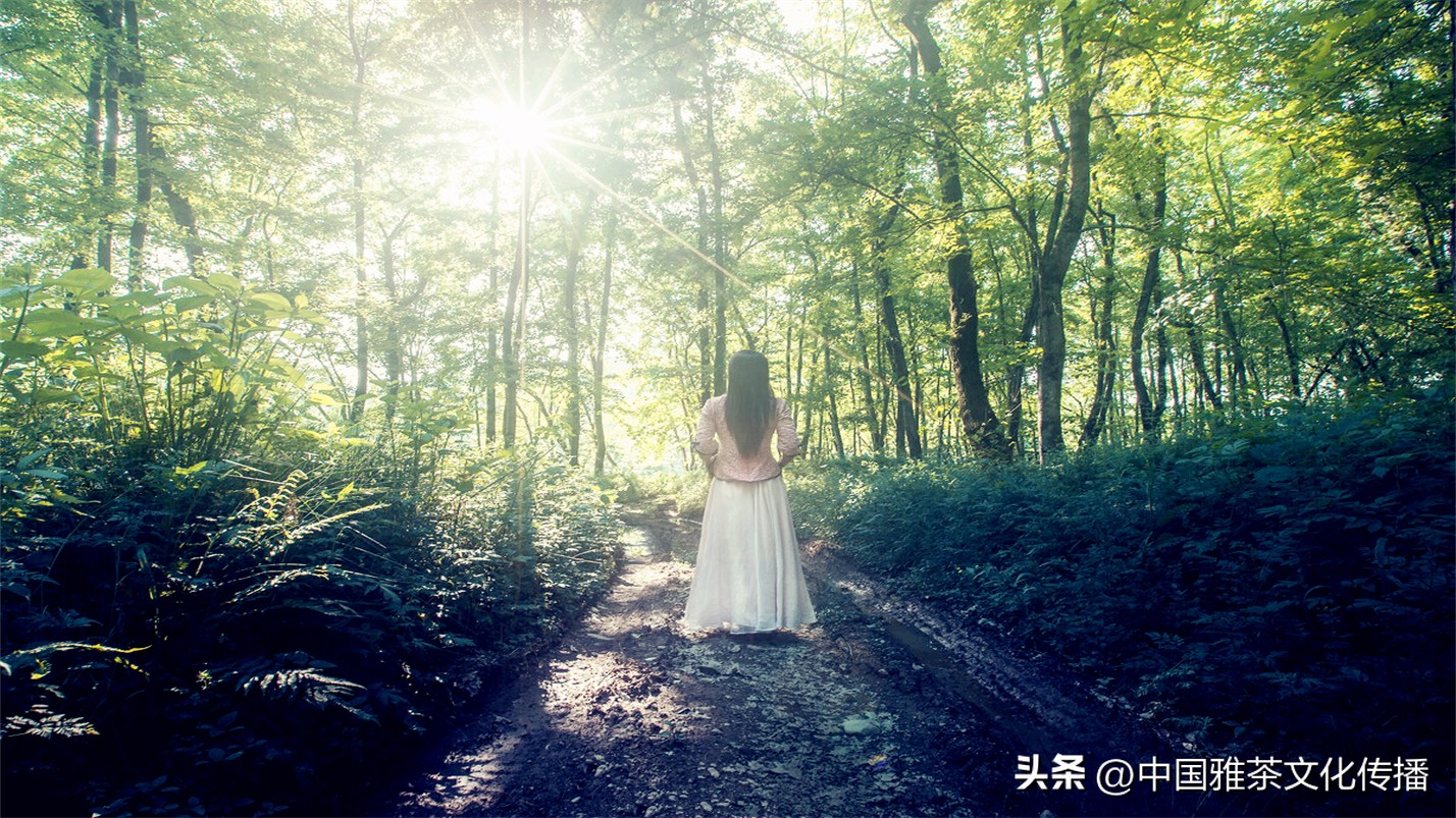 岁月与时光感悟人生,惊艳回眸的时光