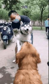 搞笑gif看着都提心吊胆还好没出事,搞笑gif表面稳中带皮实则慌中带急