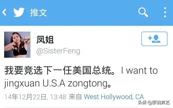 凤姐在美国修脚,为什么凤姐宁愿死在美国也不回国