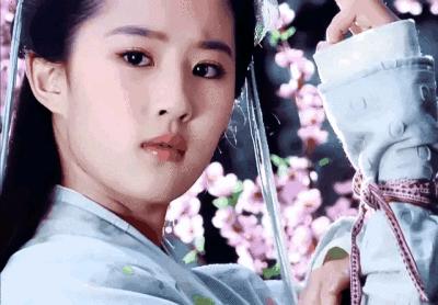 王子腾人物评价,王子腾是男的还是女的