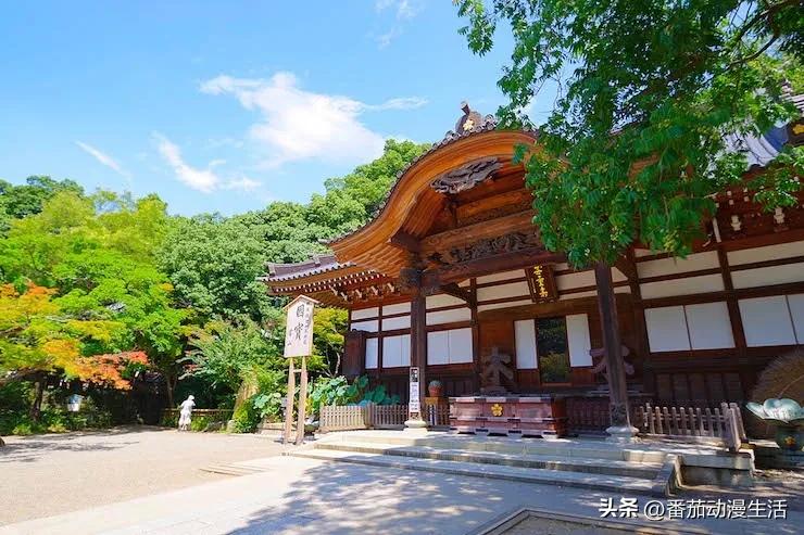 外国的宅活动是什么样子?来听菲律宾的Cosplayer少女讲讲吧。