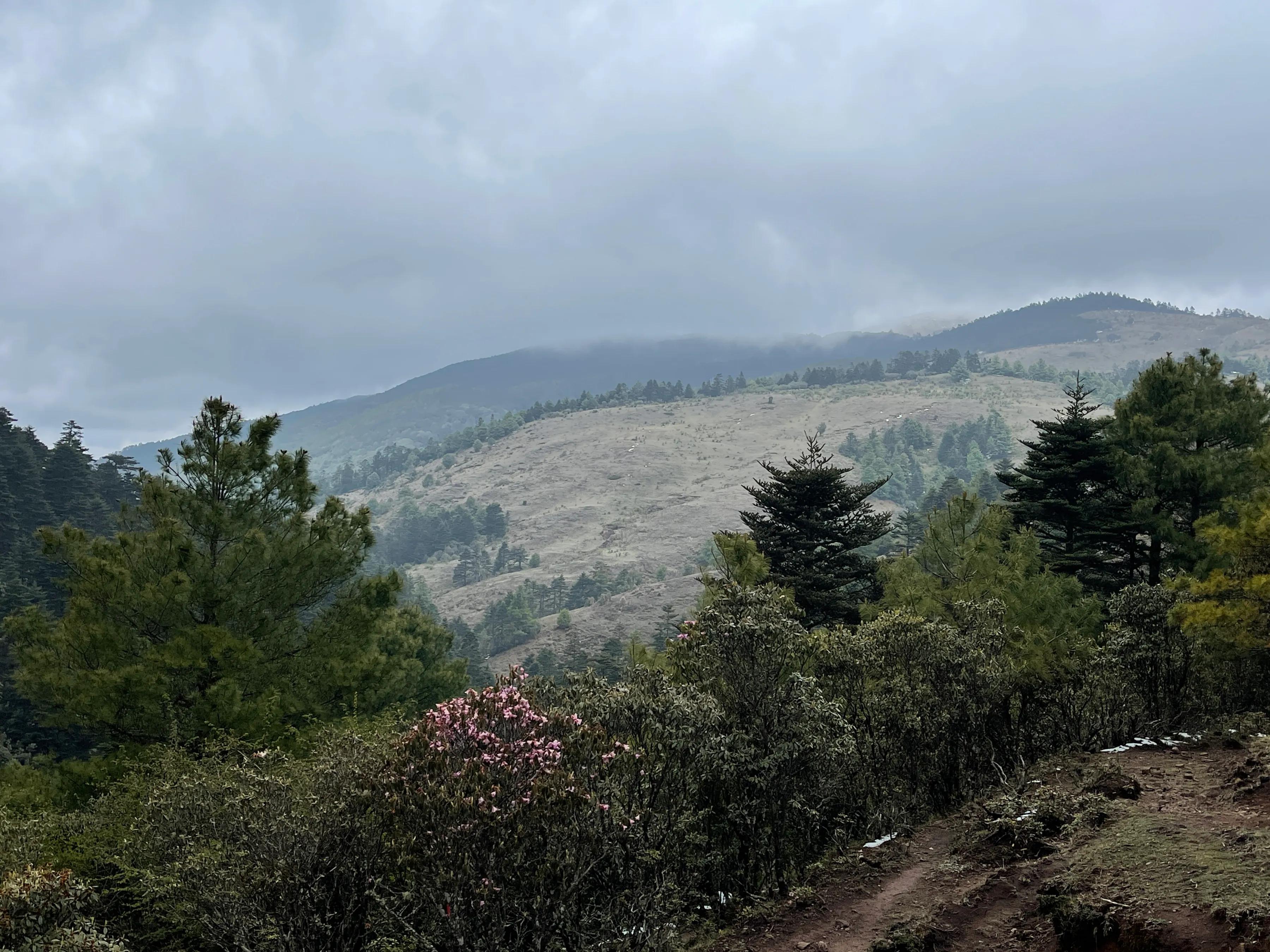 赶赴百草岭迎接夏天