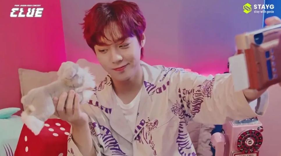 韩国敏感题材，以暴制暴，爽