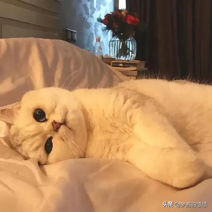 防窥屏膜影响清晰度,防窥屏膜揭下来还能用嘛