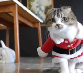 经典沙雕搞笑对话语录,最沙雕的幽默语录