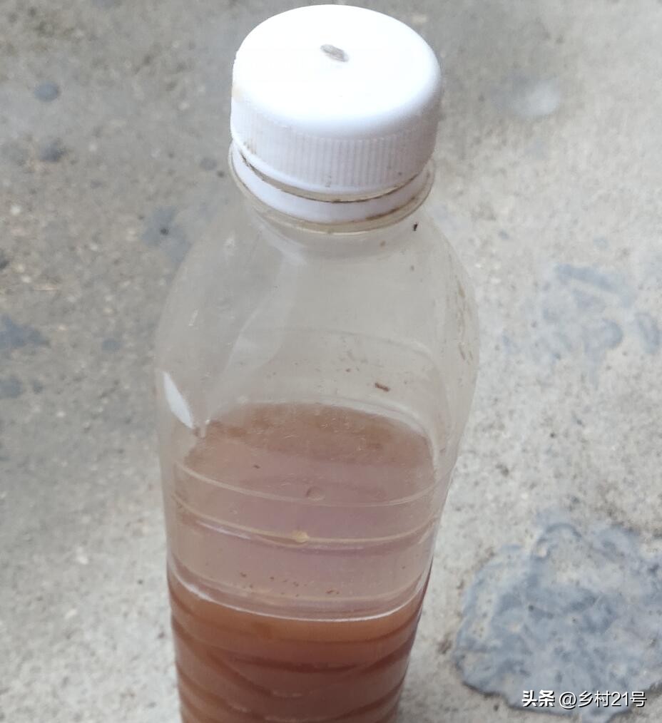 水果酵素第二次发酵的方法,水果酵素发酵过程图