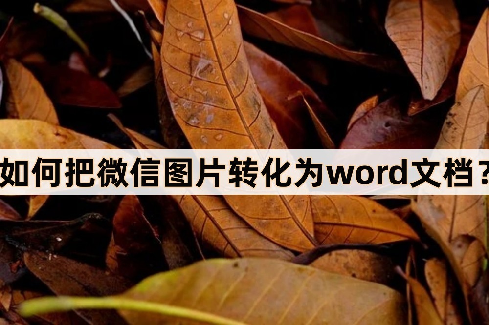 鎬庝箞鎶婂井淇￠噷鐨勯摼鎺ヨ浆鎴恮ord鏂囨。,濡備綍灏嗗井淇¤亰澶╁唴瀹硅浆鎴恮ord鏂囦欢