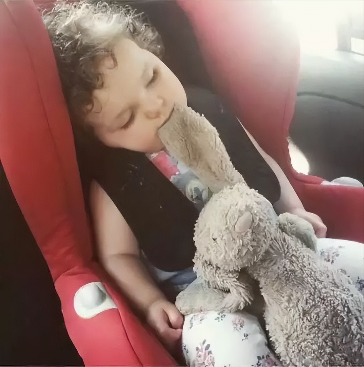 几十块的「雪糕刺客」让人心痛,几百块一只的毛绒玩具抢着买单