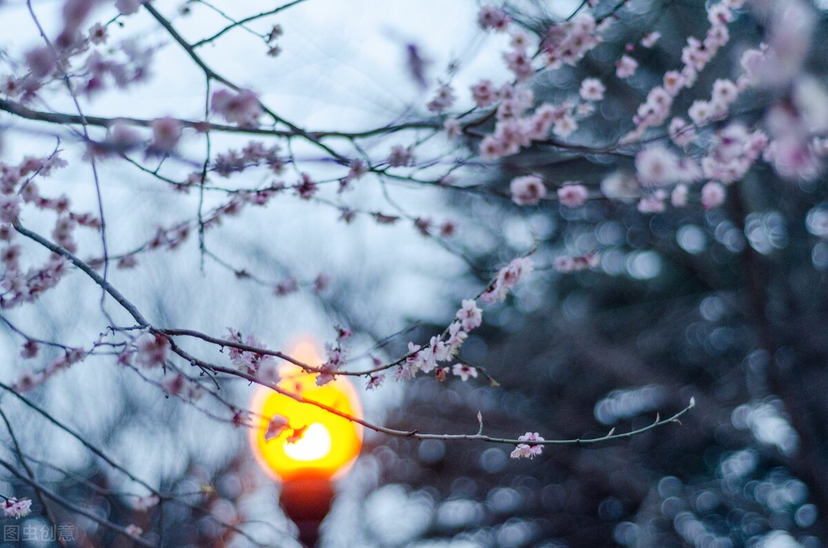 春天的遐想泰戈尔,春天的遐想纯音乐