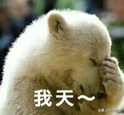 池州可以露营的湿地公园,池州户外露营地推荐