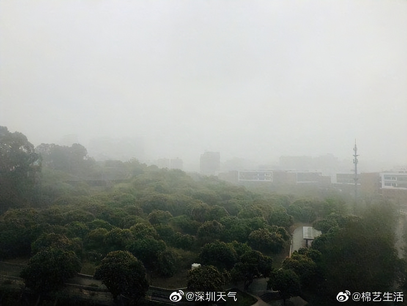 深圳发布分区暴雨橙色预警信号,深圳发布暴雨红色预警在哪里看