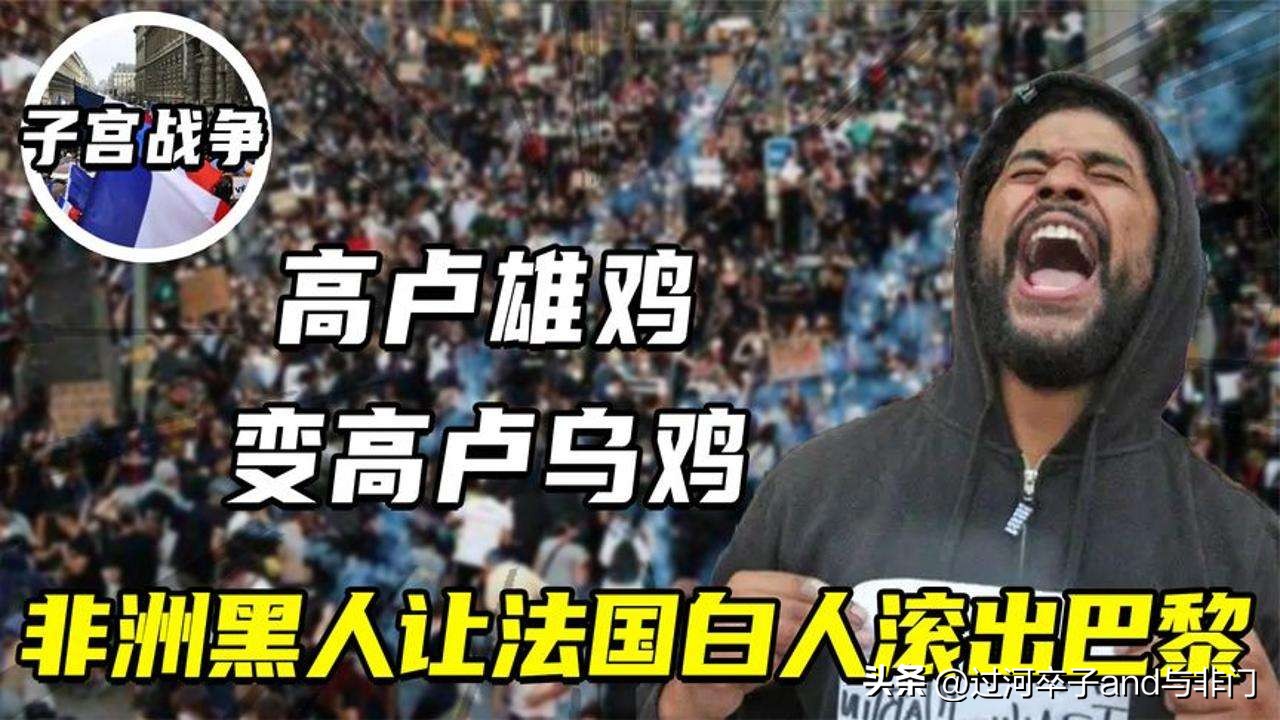 法国足球队内部矛盾,法国国家队问题