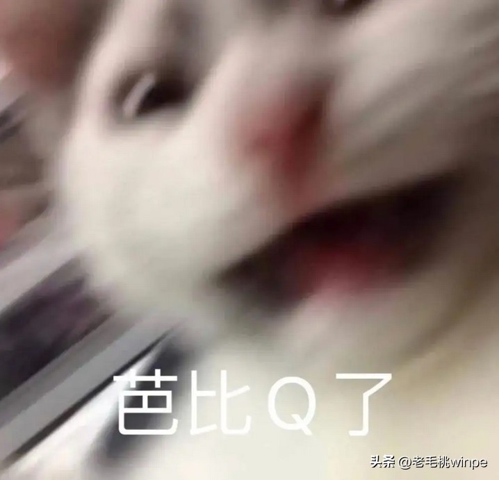 ie为何下架,ie退出市场了吗