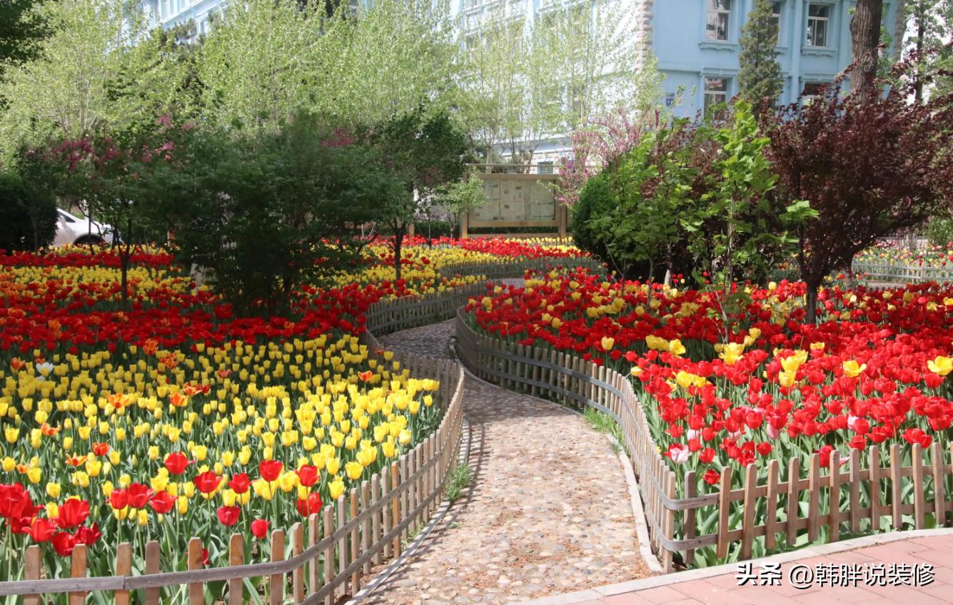 家中有哪三象子孙有福了,家中出三象家中出贵人