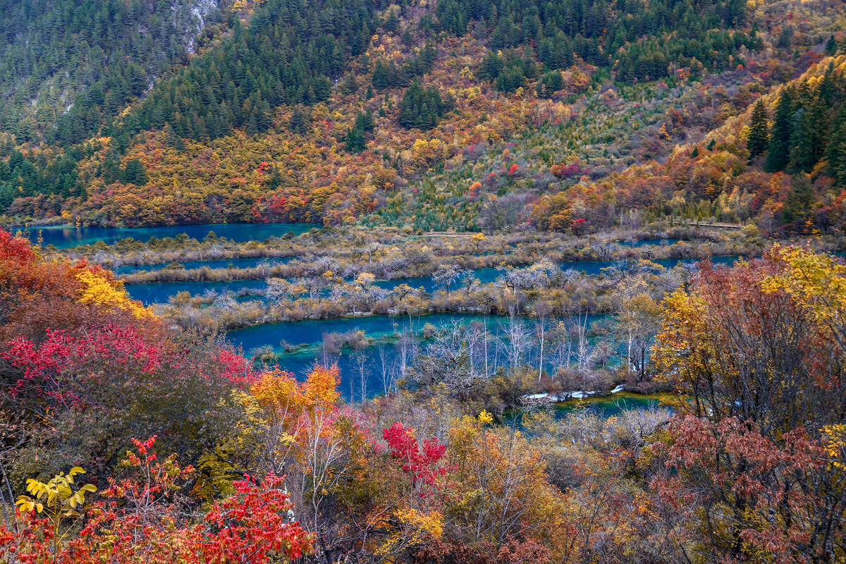 天府四川歌曲,天府四川歌曲原唱版