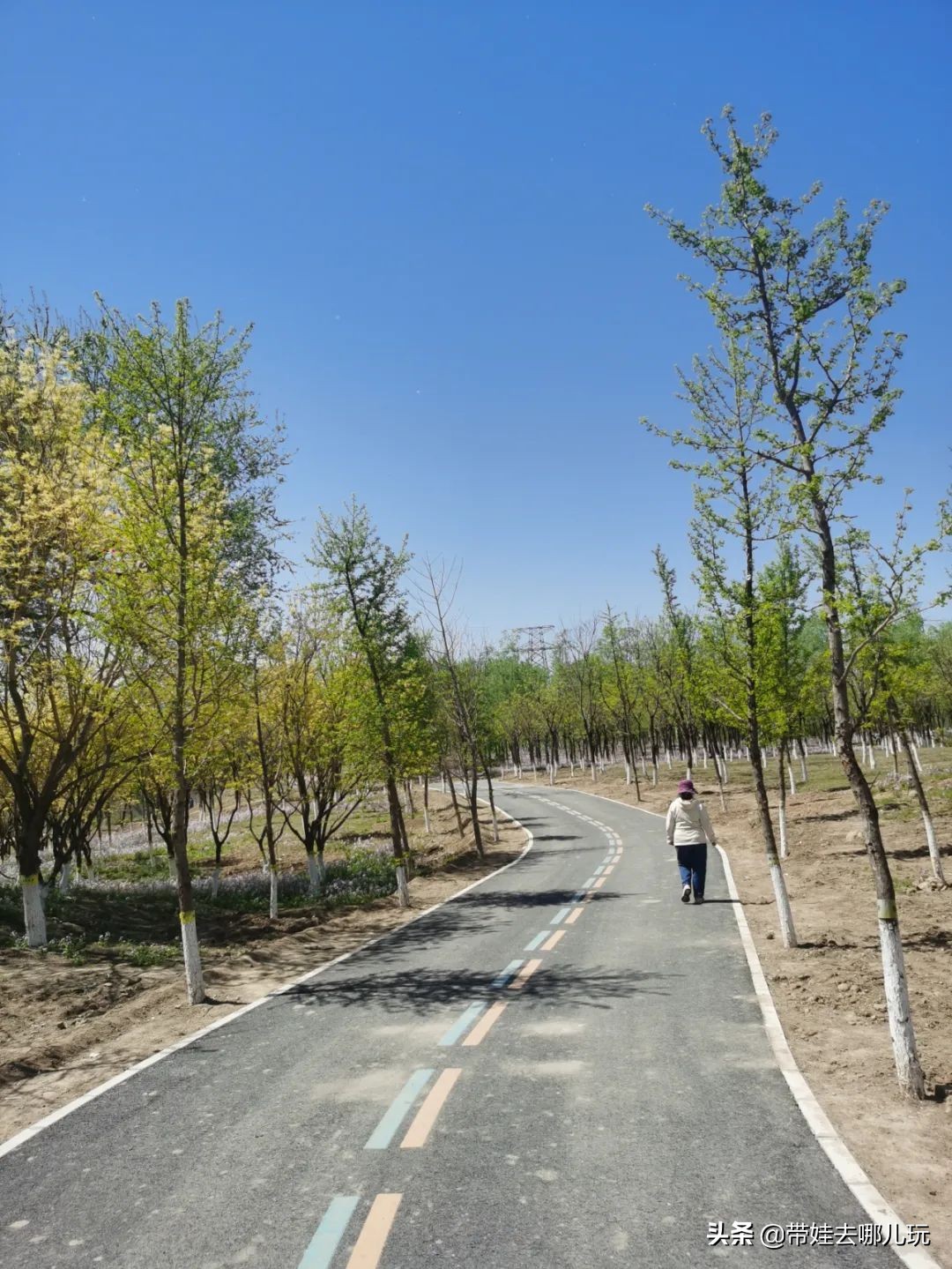 盘点各城市的骑行绿道,北京朝阳区39公里绿道将开放骑行