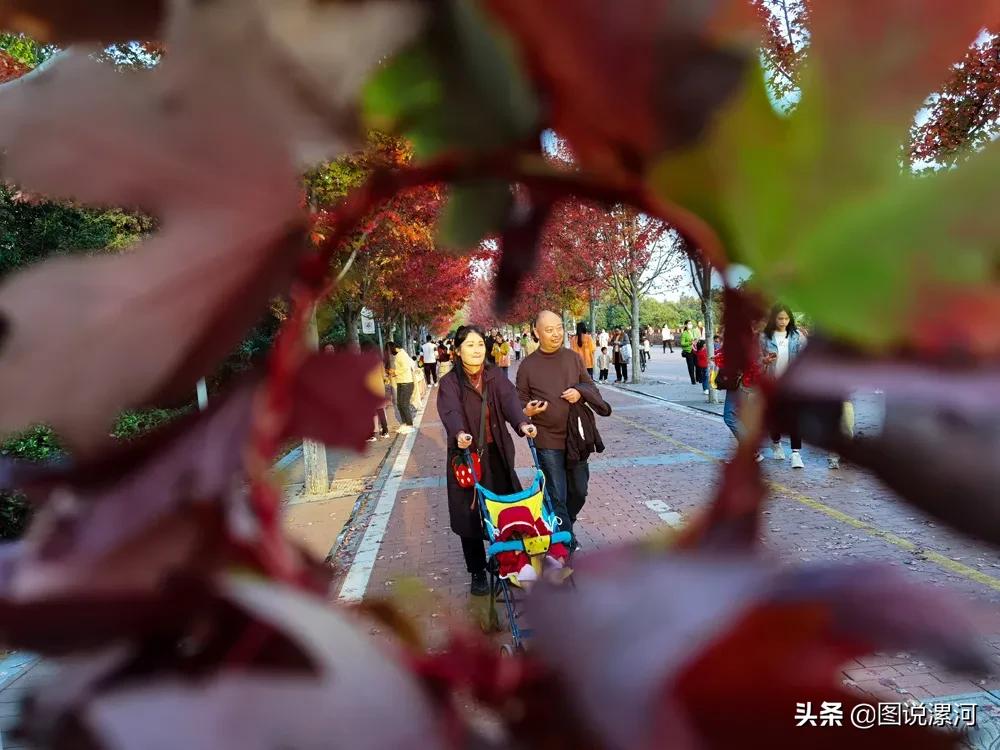 摄影比赛获奖名单公示,摄影大赛颁奖活动暨摄影展美篇