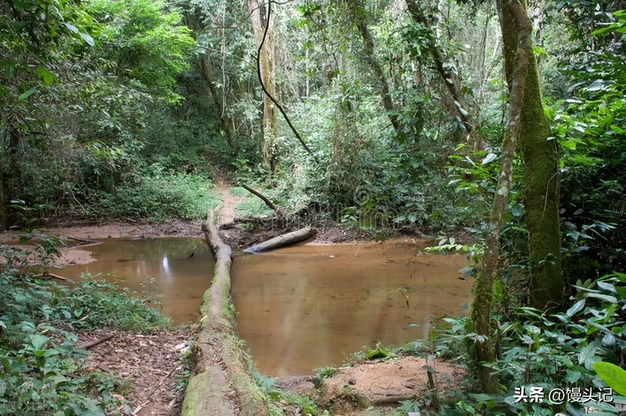 赤道几内亚是在赤道上吗,赤道国家风景