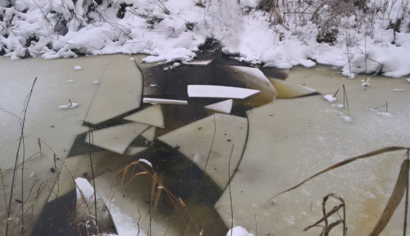 杀子之仇不共戴天歌曲,杀子之仇不共戴天