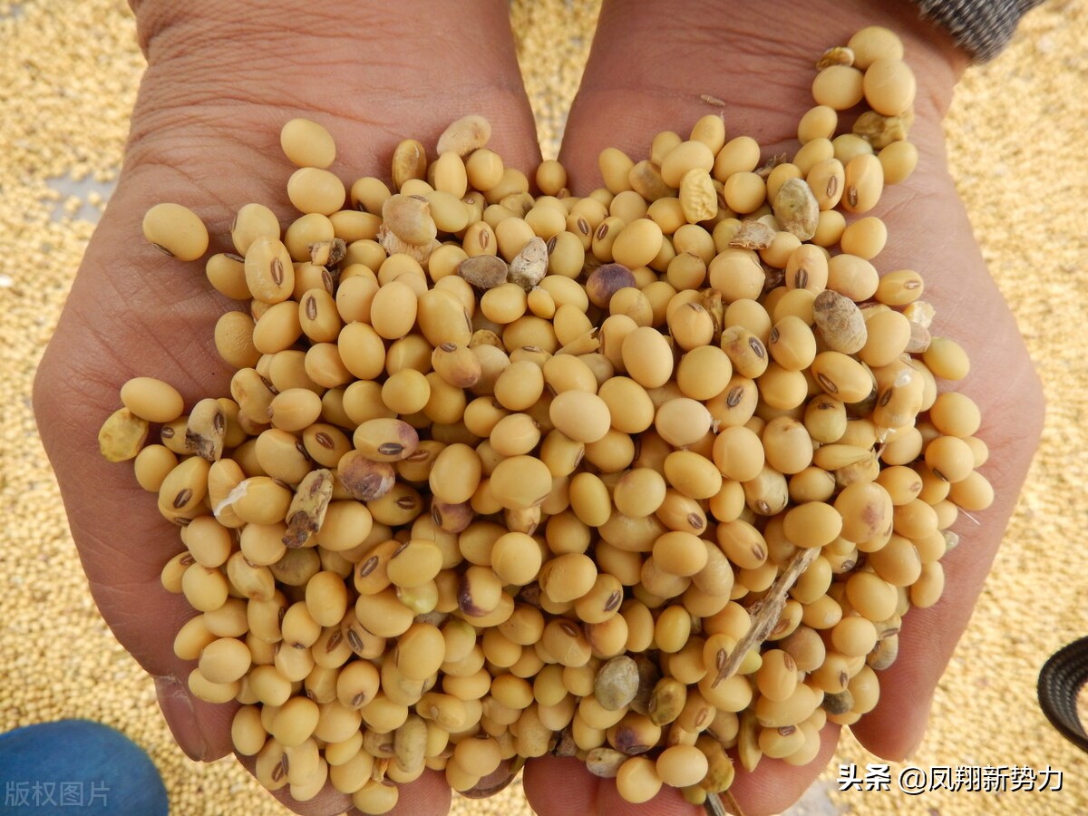 大豆历史最高价格走势,大豆近五年市场价格走势