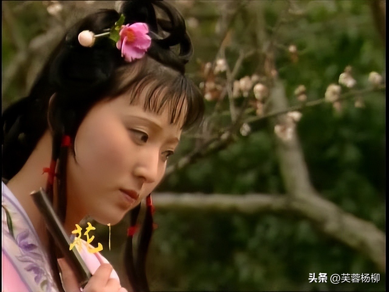 林黛玉陈晓旭葬花,陈晓旭评价黛玉哭了