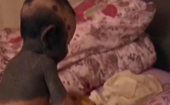 福建孕妇生下黑宝宝,夫妇生下熊猫宝宝