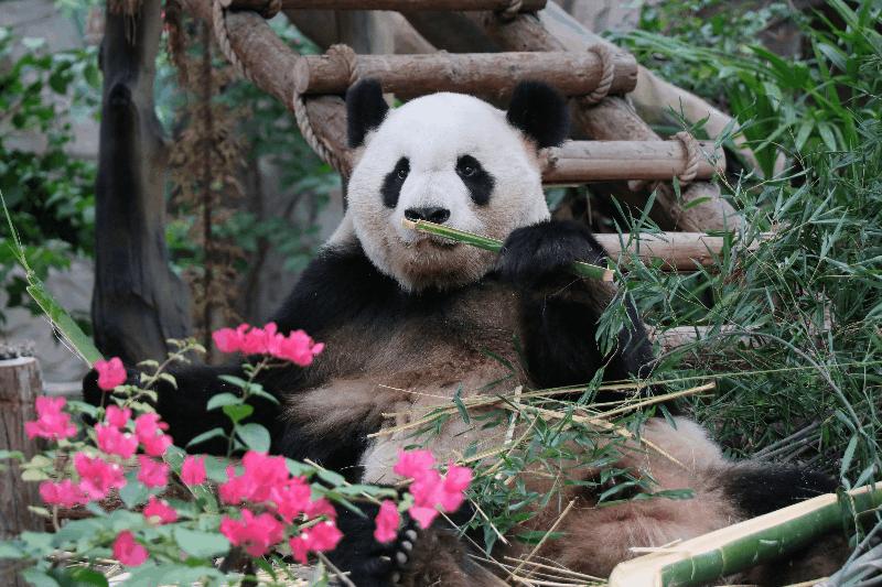 畅玩！放松遛娃，清新山海去哪里→