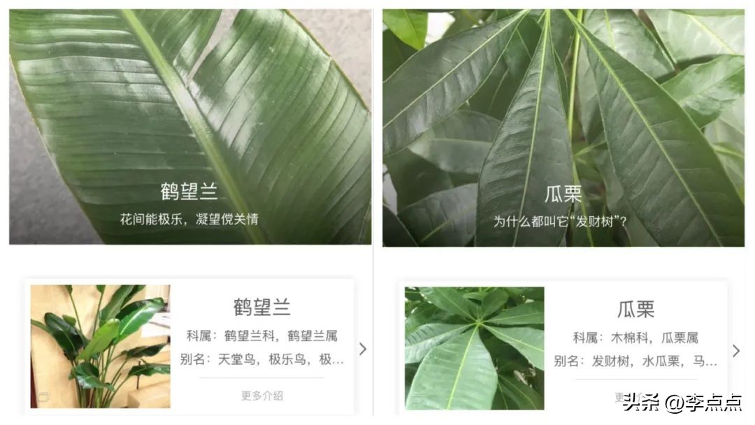 语数外小程序,免费学习语数外的小程序