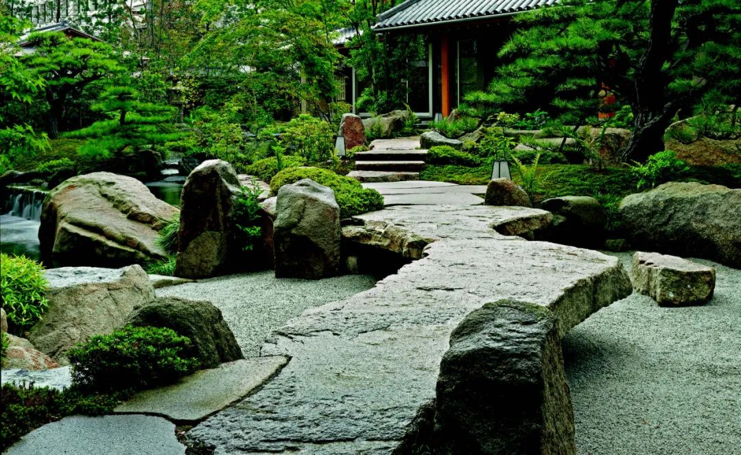日本枯山水景观,日本枯山水中的树是什么树