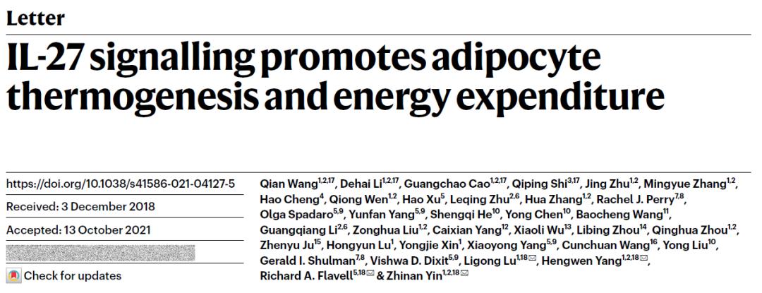 你是个成熟的脂肪细胞了,应该学会自己燃烧