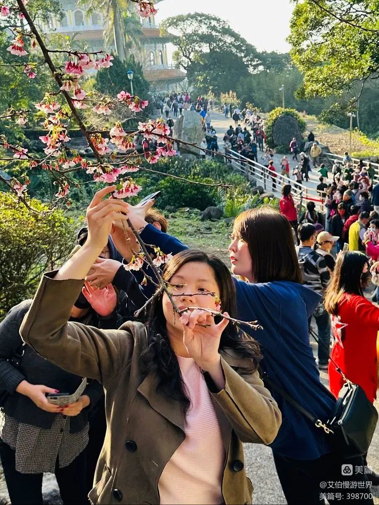 台湾初印象,台湾的初印象