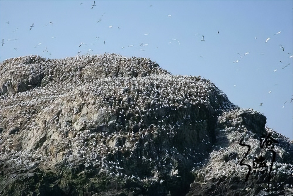 菲律宾军舰为什么会在仁爱礁,菲律宾加固了仁爱礁军舰吗