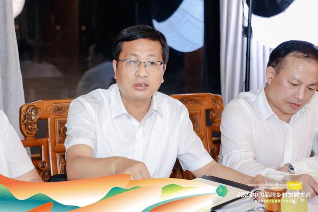 乡村振兴大咖说观点汇总,乡村振兴方面的领导讲话